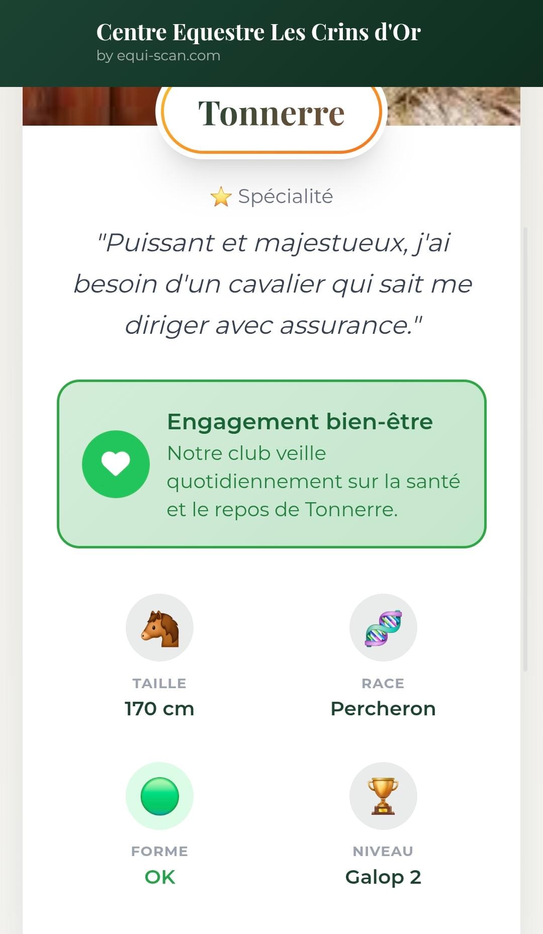 Capture d'écran de l'espace cavaliers (vue publique)